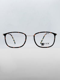 Óculos XYX 16862 tartaruga - frente