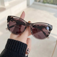 Óculos de Sol DKNY DK533S Gatinho Bege Translúcido e Tartaruga - na mão